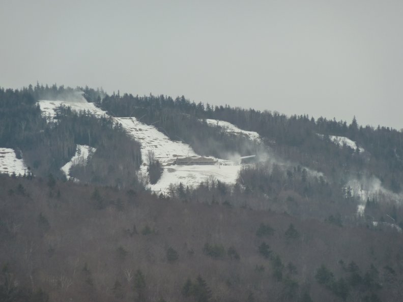 P1000427.jpg