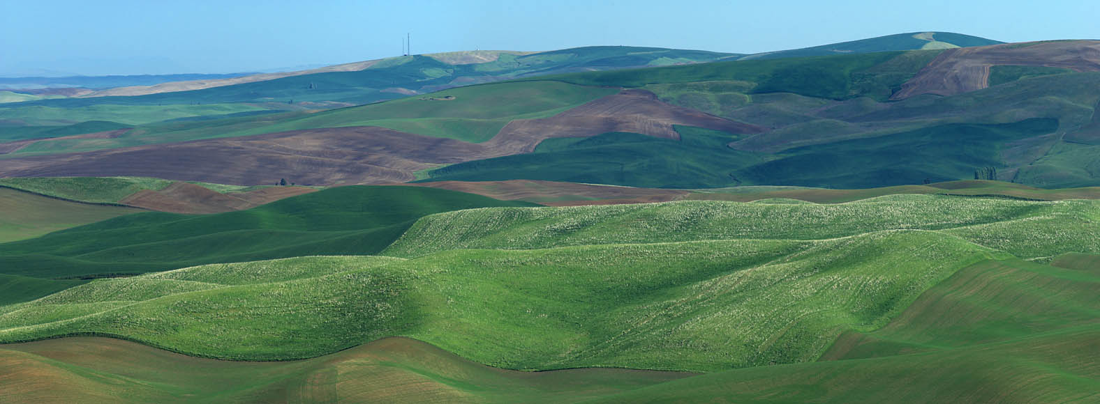 Palouse 07