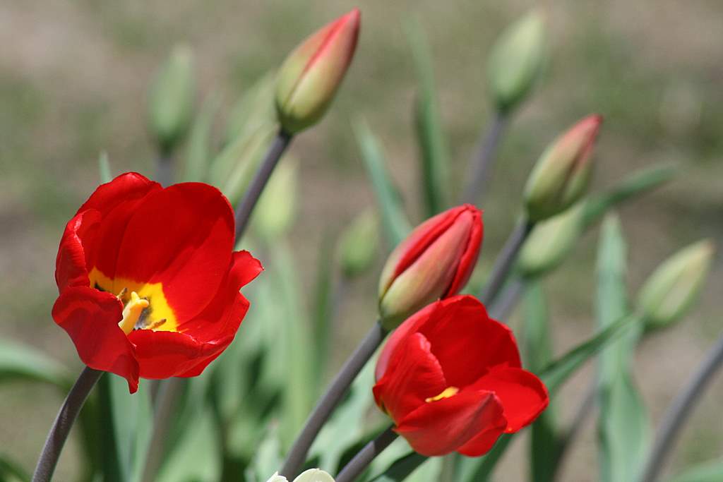 AIMEZ-VOUS LES COULEURS..