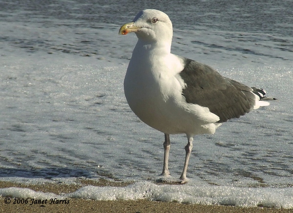 Cold Feet