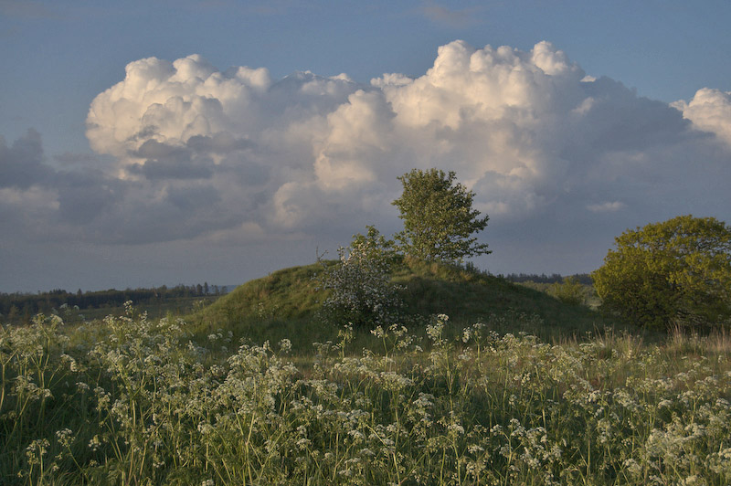 Gravhj ved Farstrup - Grave from the Bronze Age