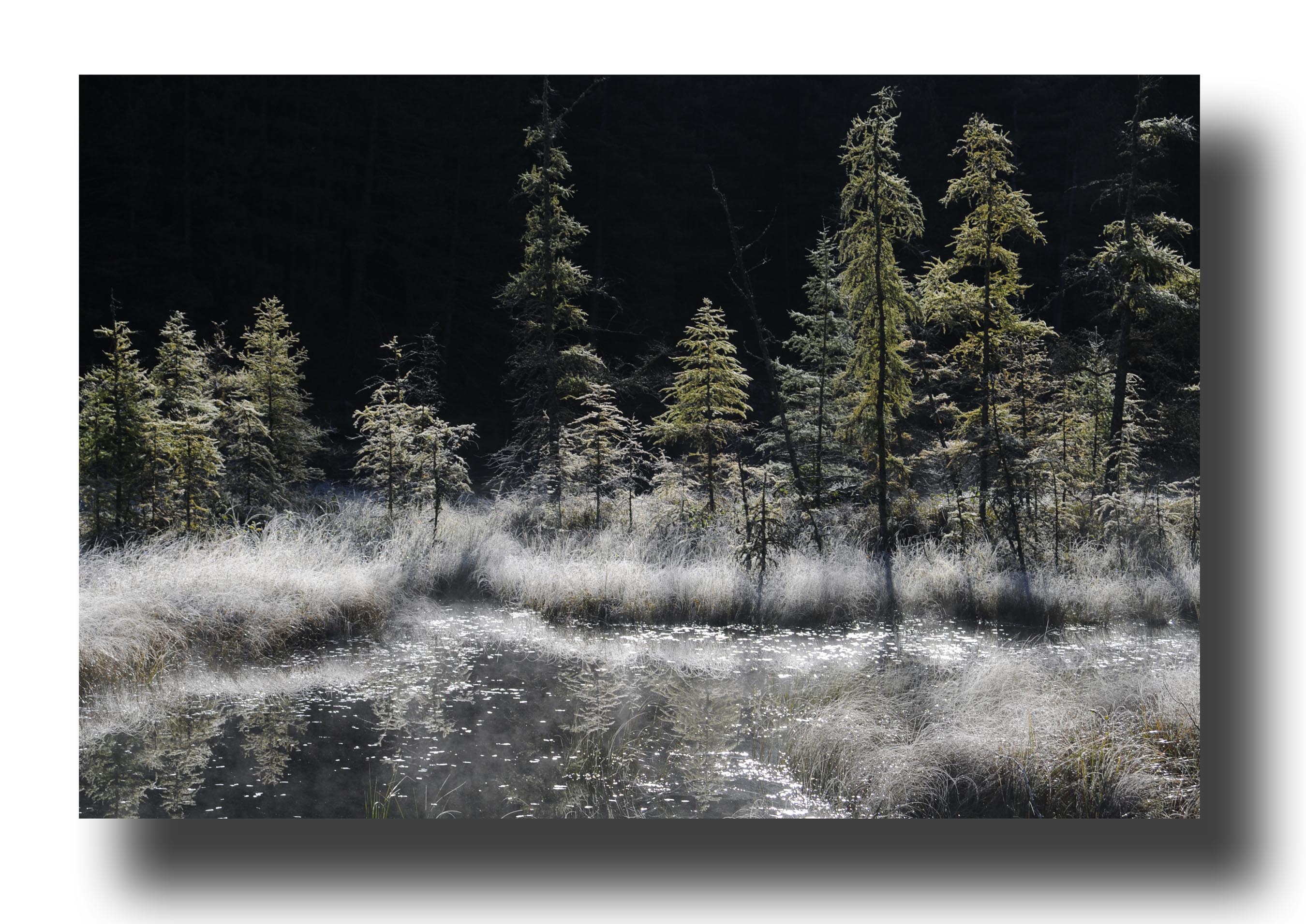 Five Degrees of Frost