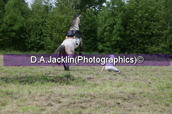 IMG_6338.JPG