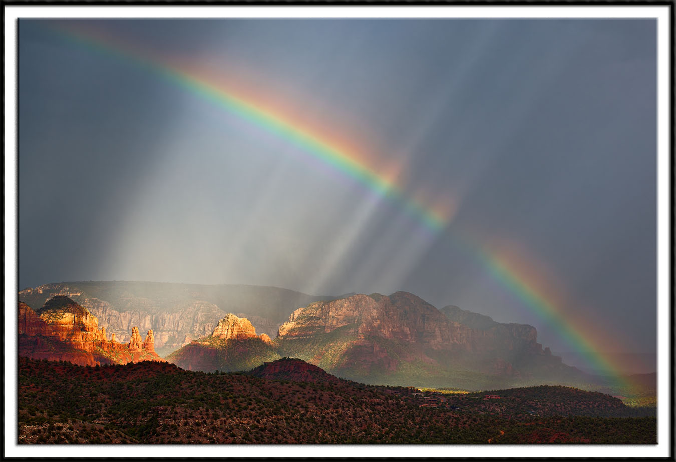 Wild Monsoon Light