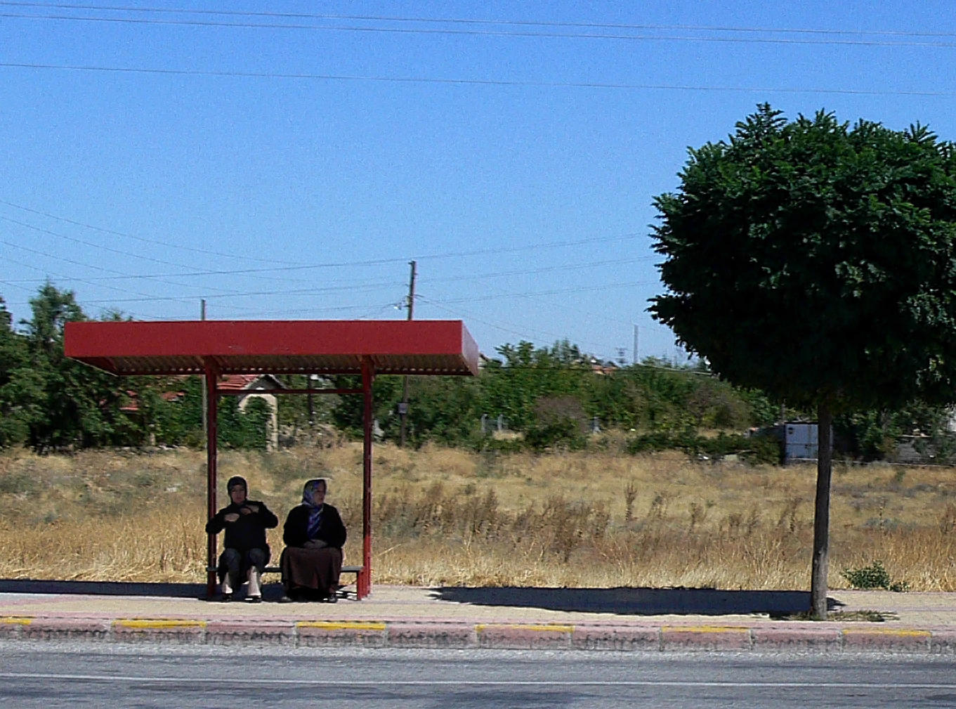 P1050630.JPG