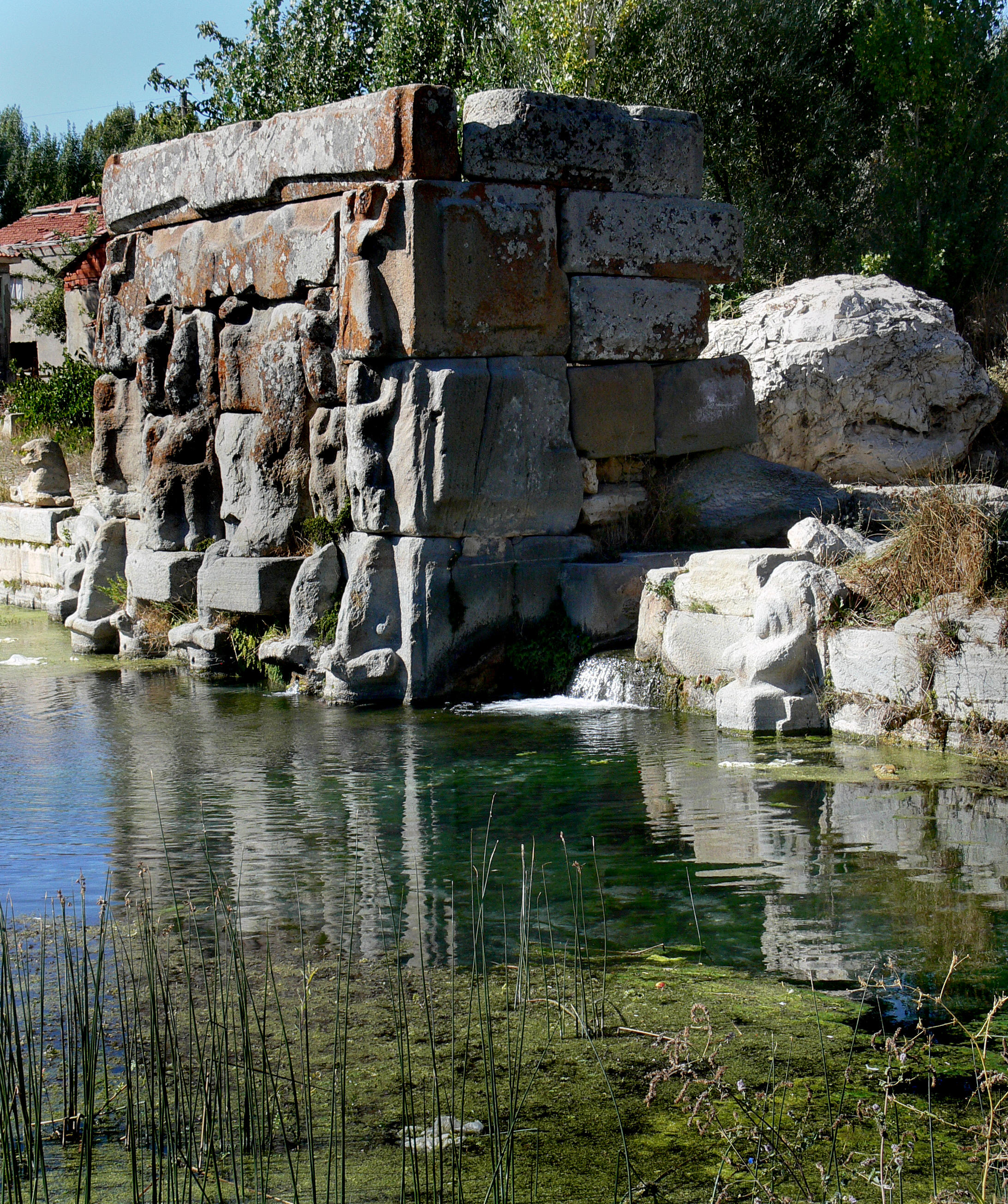 Ancient Greek spring 6