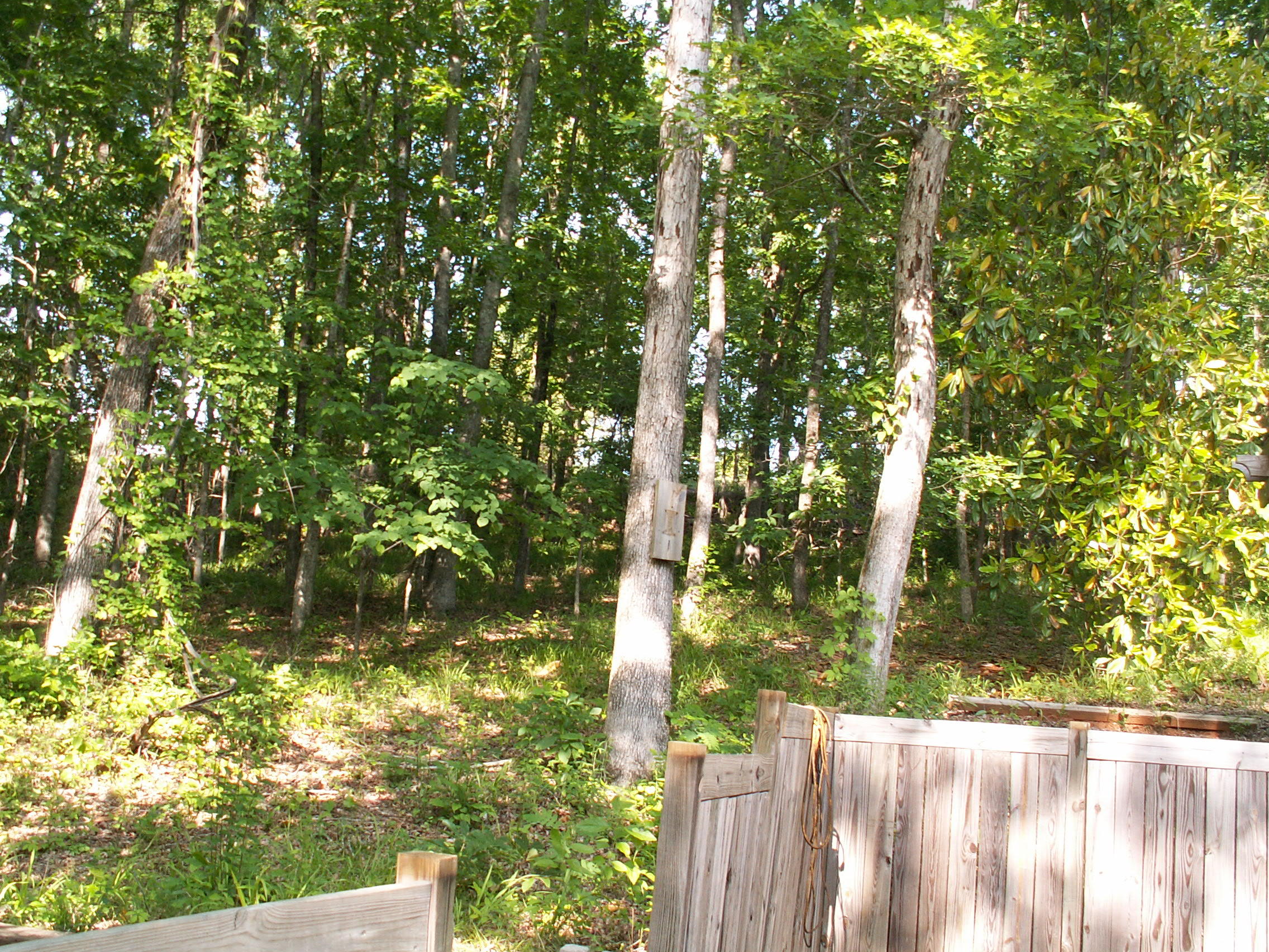 PICT1767.JPG