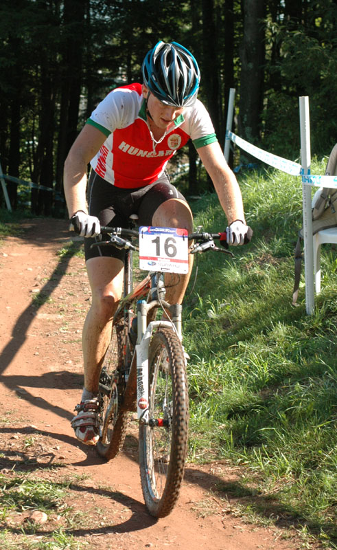 DSC_16455ps 800h.jpg