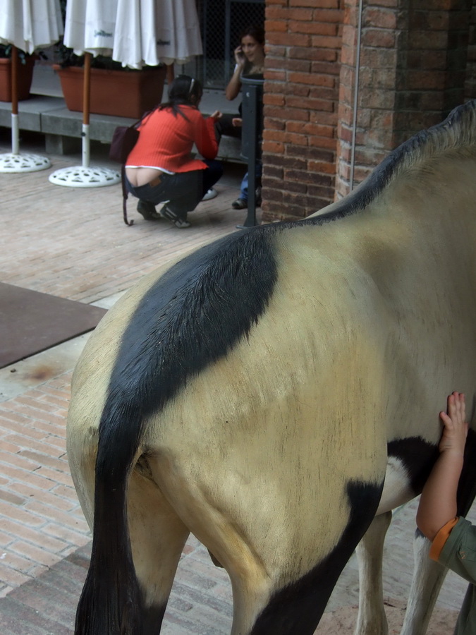 Museu de Zoologa