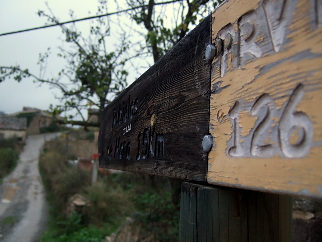 DSCF2912 a Km15.jpg