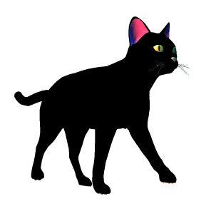 cat01.gif