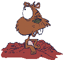 Gopher-eye1.gif