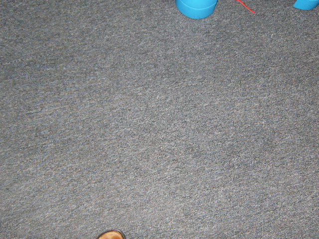Carpet
