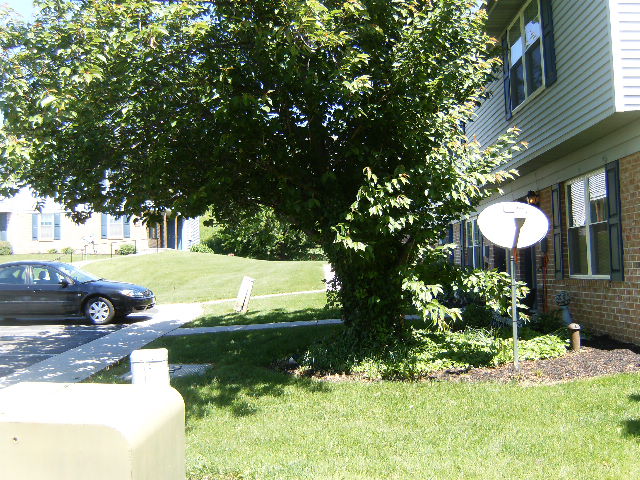 Looking north from front sidewalk (next building)