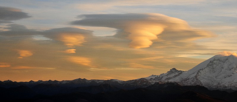 disappearing lenticulars