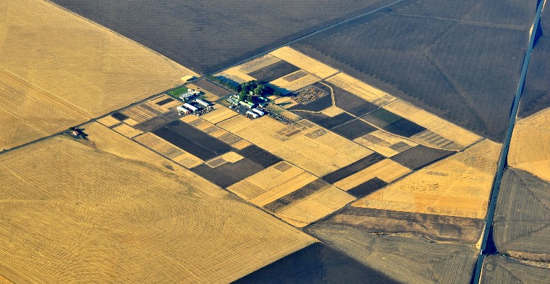 family farm