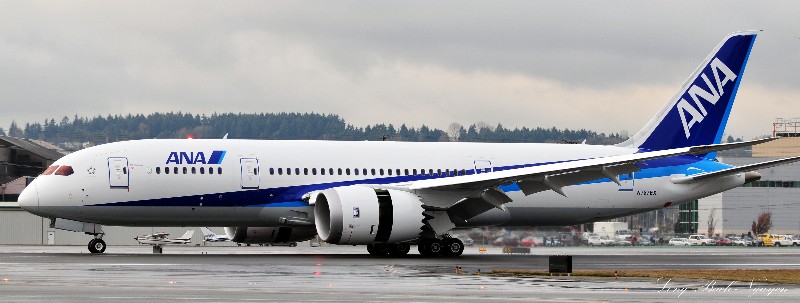 All Nippon Airways Boeing 787 Dreamliner