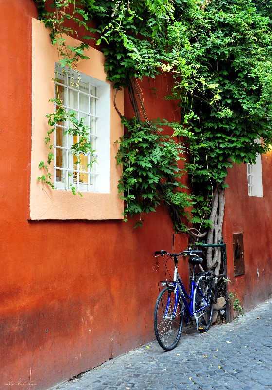 resting against orange wall