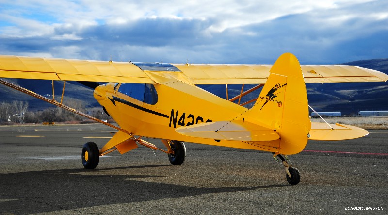 Carbon Cub