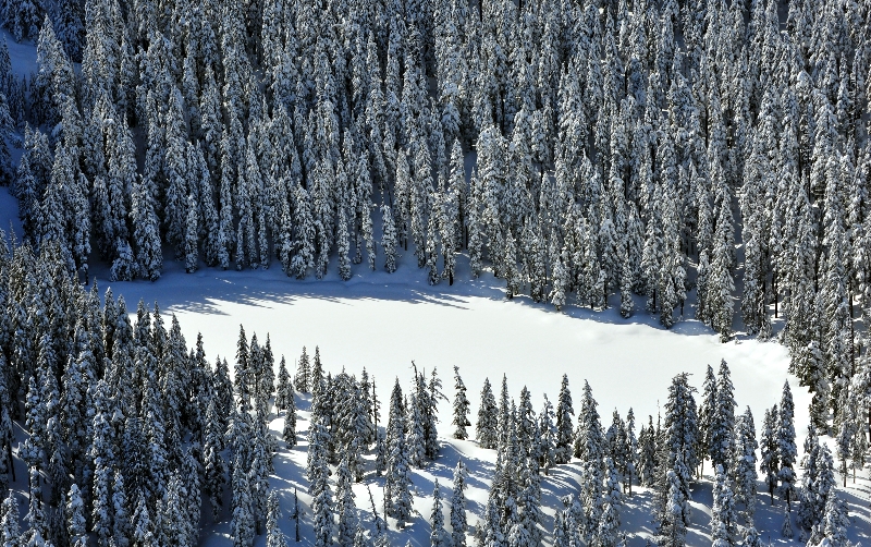 Nine Hour Lake, Cascade Mountains