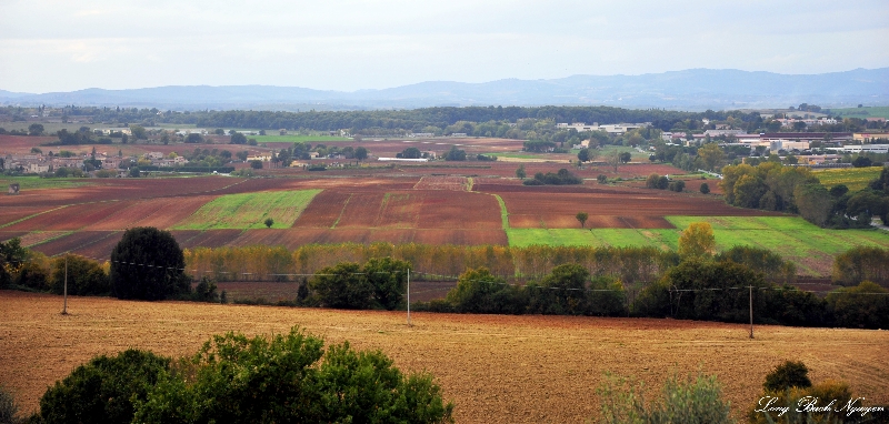 farms around Monteriggioni, Italy  