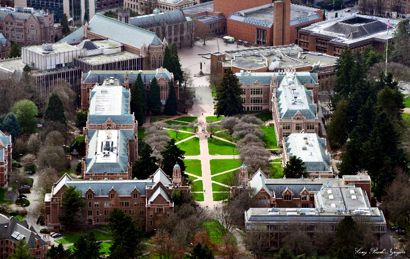 University of Washington, Seattle, Washington 