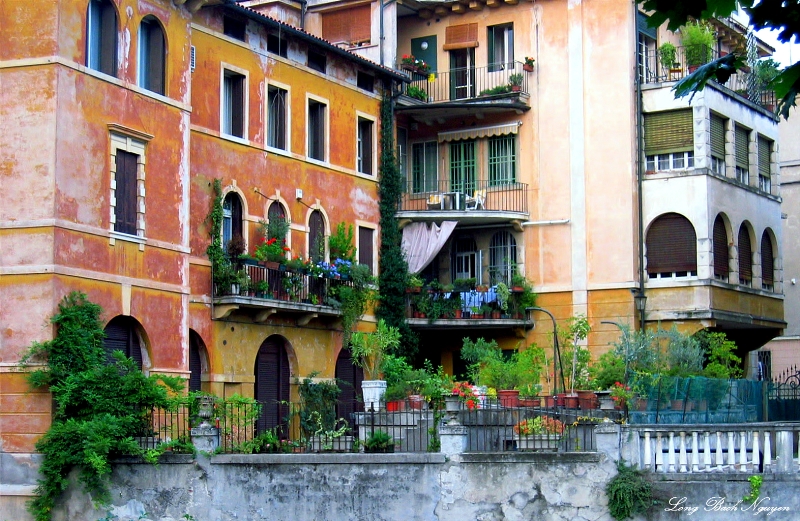 garden in Vicenza