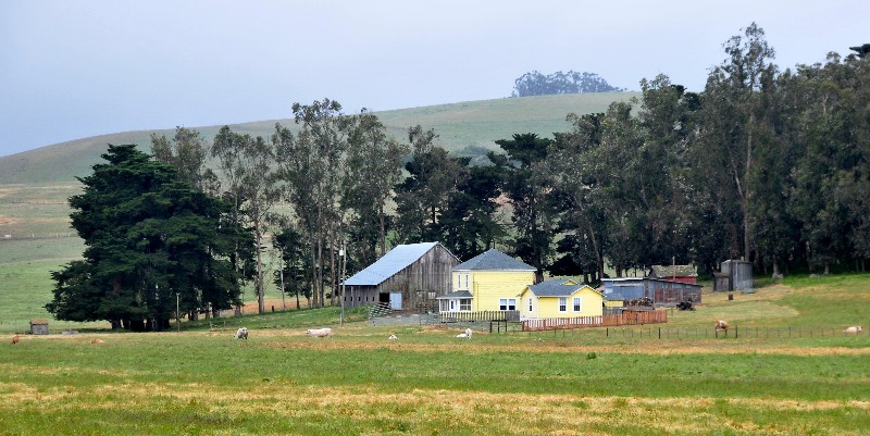 life on the farm