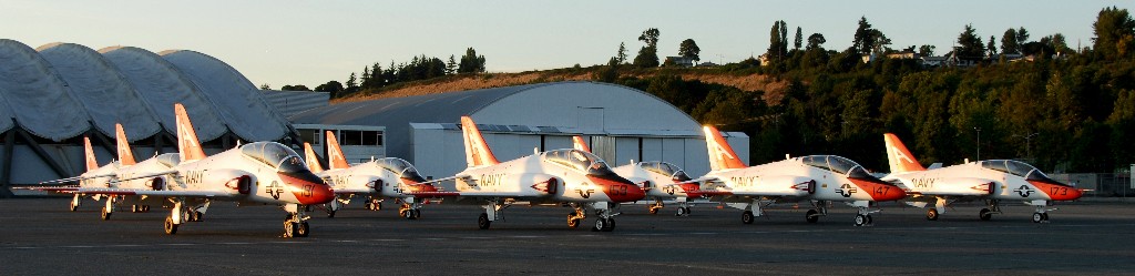 T45 in formation