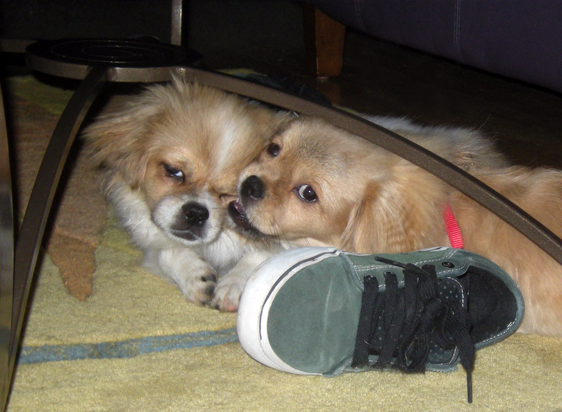 Playtime.JPG