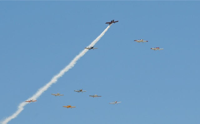 DSC_9719.jpg