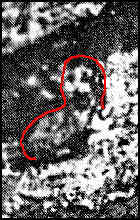 1--1929: Bearded Man discovery, 1/3 inches Length