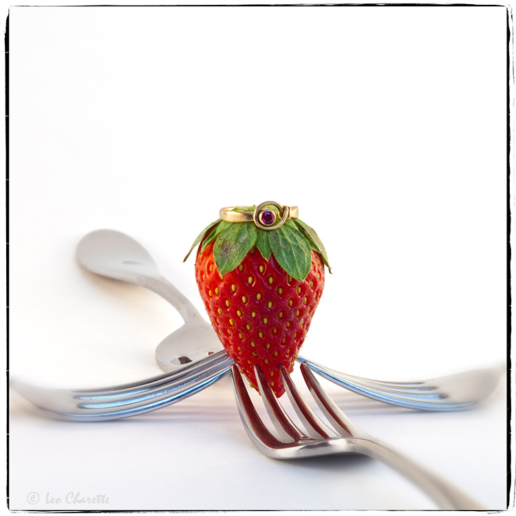 <b>2nd(tie) </b><br>Tough Balancing Act<br>by Leo Charette