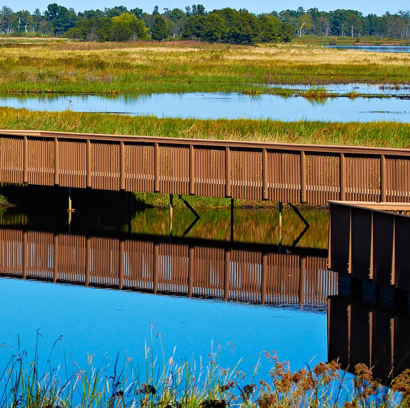 Wildlife Bridge