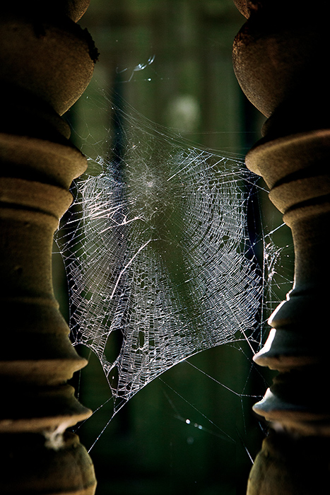 2nd--Un-loosable Symmetry by K