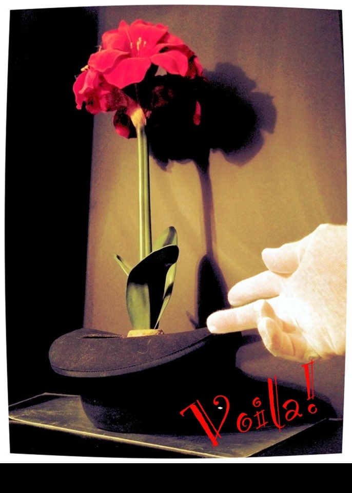 Voila! <br> (4th Place)