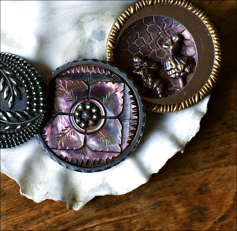 Mother of Pearl <br> (2nd Place)