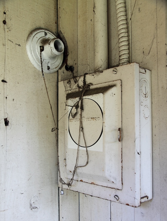 Lightbulb & Cobwebs