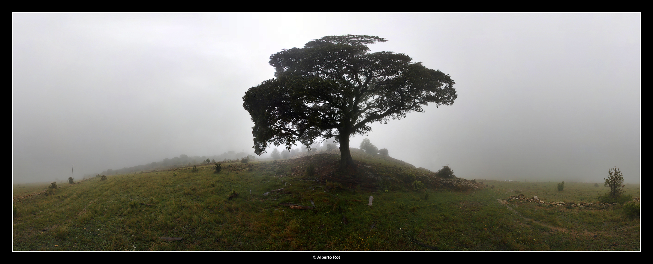 En la niebla