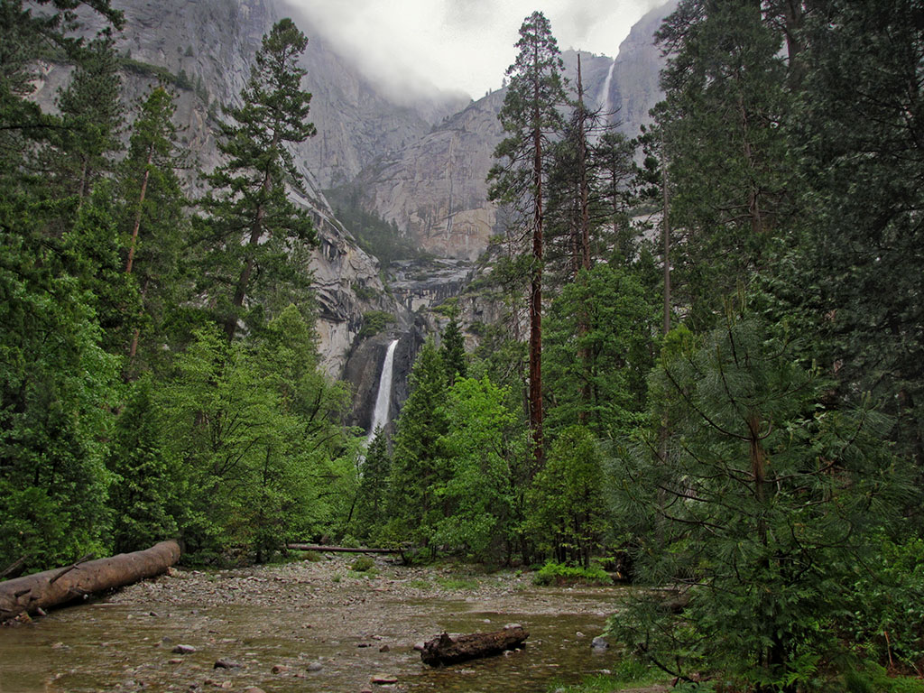 Lower Yosemite Falls path, double falls, creek, in rain,the next day, 5/26.  #2657