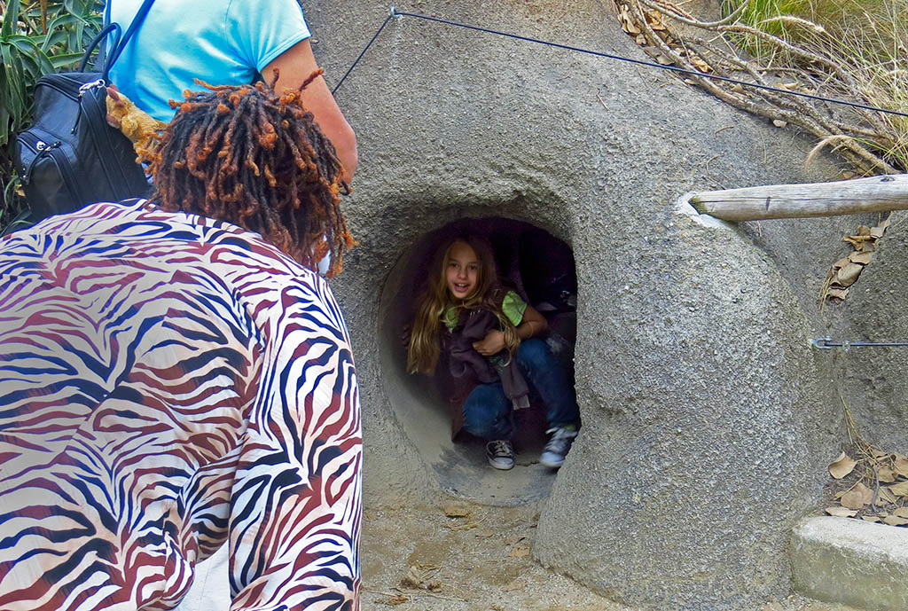 Smaller explorers. #0981