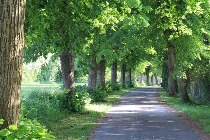 Remouchamps_0734