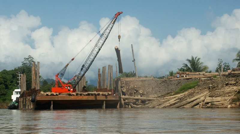 Logging
