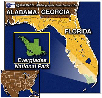 VS08 (012) Everglades