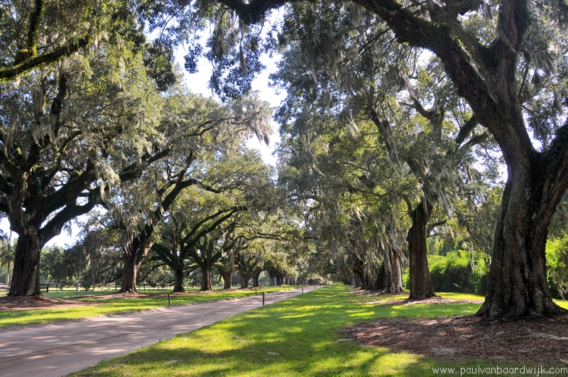 VS08 (221) Charleston, SC