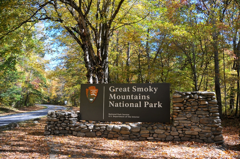 VS08 (240) Great Smoky Mountains NP