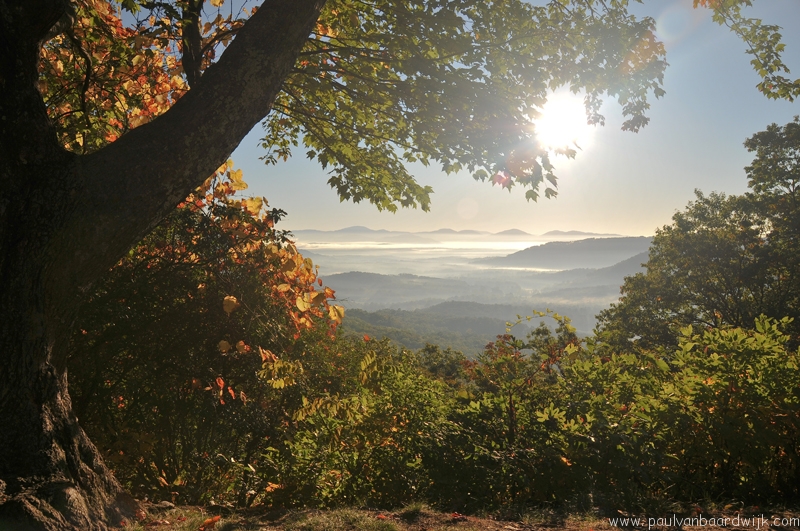 VS08 (243) Great Smoky Mountains NP
