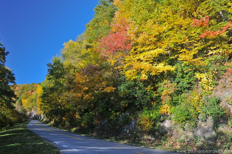 VS08 (246) Great Smoky Mountains NP