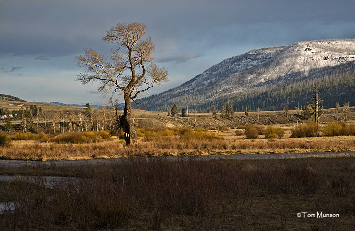 east end of the  Lamar Valley