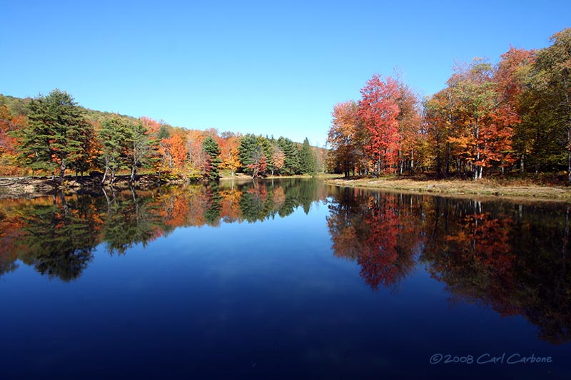 Allegany State Park - Science Lake